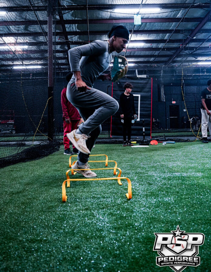 Pedigree Sports Performance Hurdle Drill