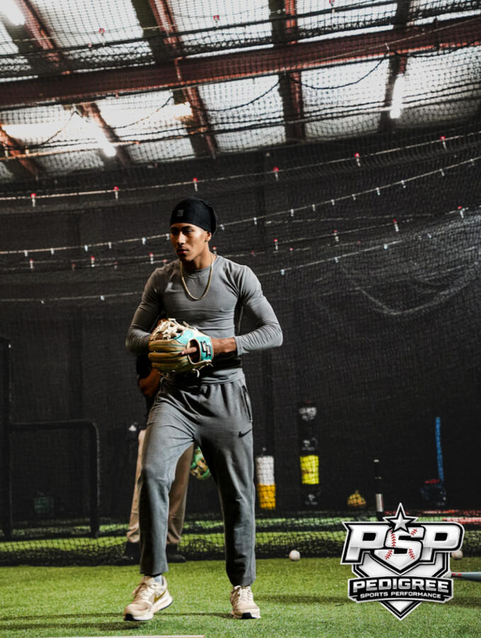 Baseball Hitting Lessons in Charlotte, NC - Pedigree Sports Performance