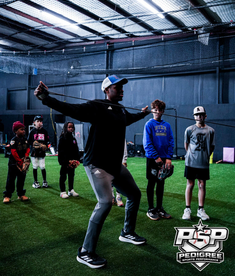 Baseball Pitching Lessons in Raleigh, NC - Pedigree Sports Performance