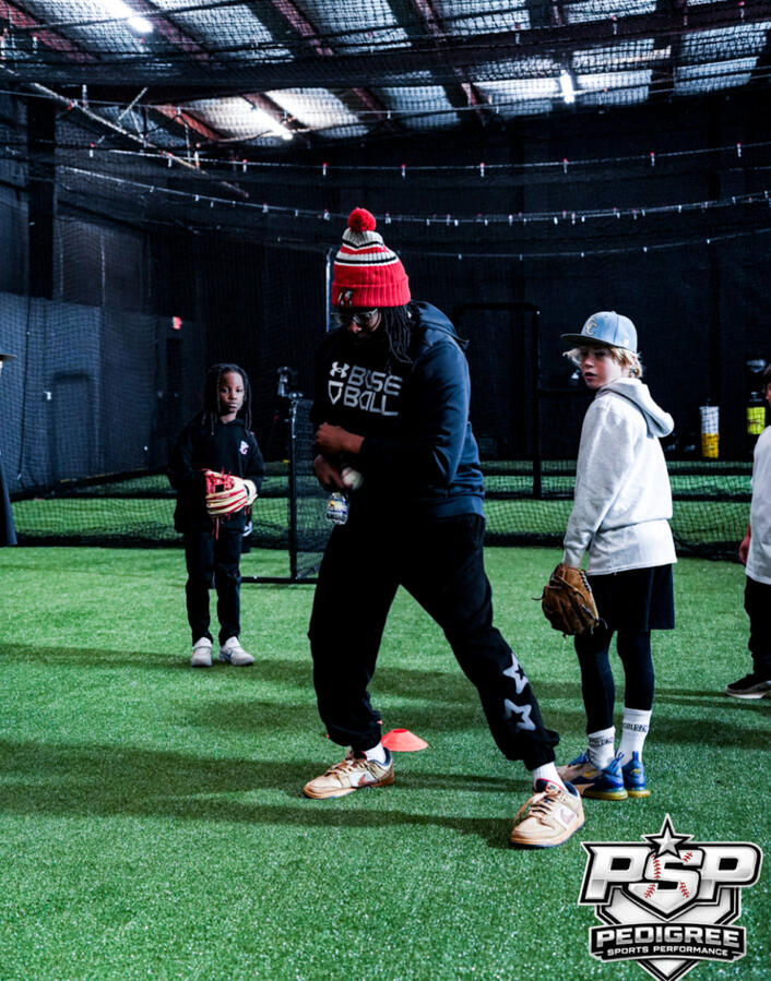 Baseball Pitching Lessons in Laurens, SC - Pedigree Sports Performance