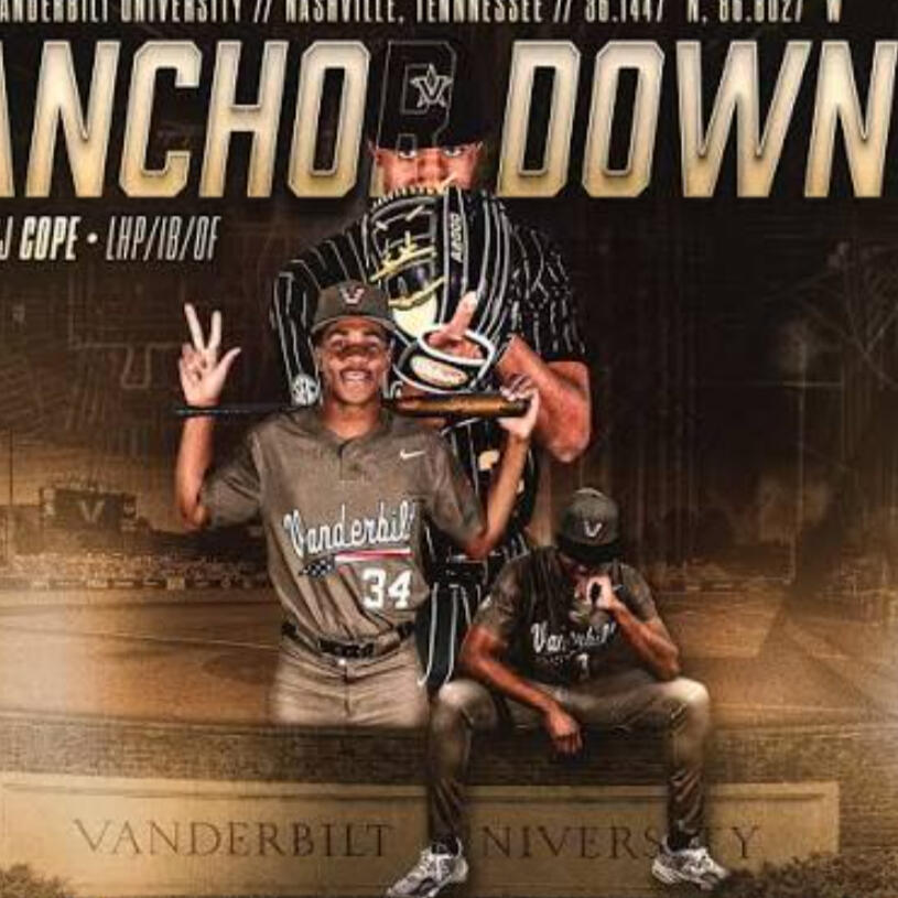 Pedigree Sports Performance Pedigree Sports Performance Logo