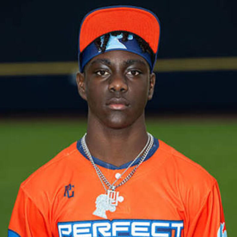 Pedigree Sports Performance Logo