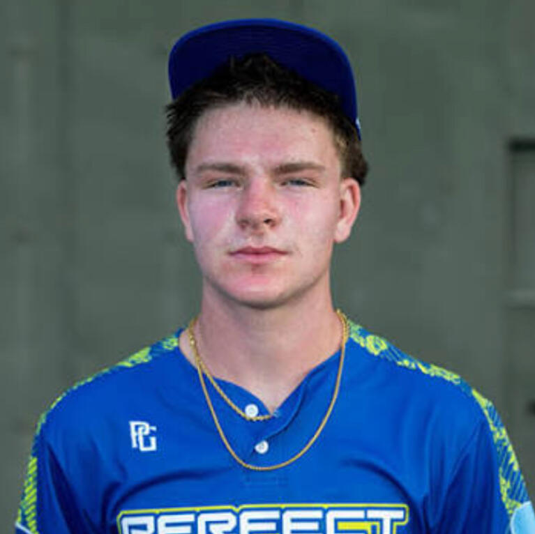 Pedigree Sports Performance Pedigree Sports Performance Logo