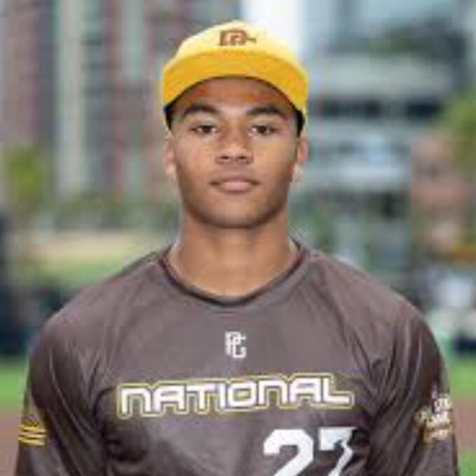 Pedigree Sports Performance Pedigree Sports Performance Logo