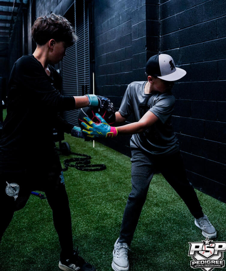Baseball Hitting Lessons in Greer, SC - Pedigree Sports Performance
