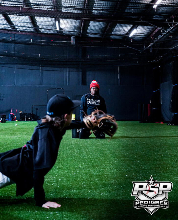 Baseball Training Facility in Boiling Springs, SC - Pedigree Sports Performance